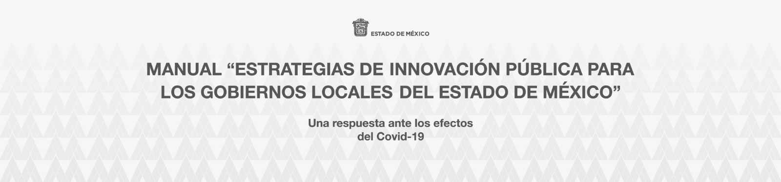 Manual "Estrategias de Innovación Pública para los Gobiernos Locales del Estado de México"